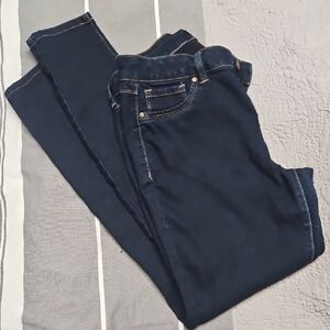 Blue Spice Navy Skinny Jeans